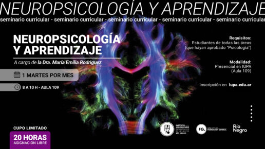 seminario neuropsicología y aprendizaje