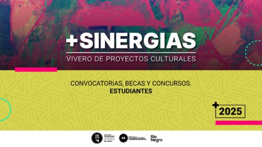 Sinergias estudiantes 2025