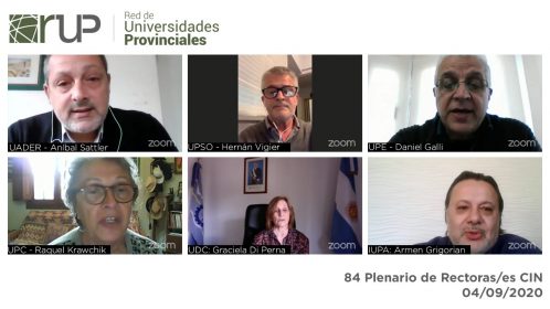 plenario CIN