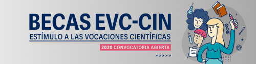 flyer becas evc