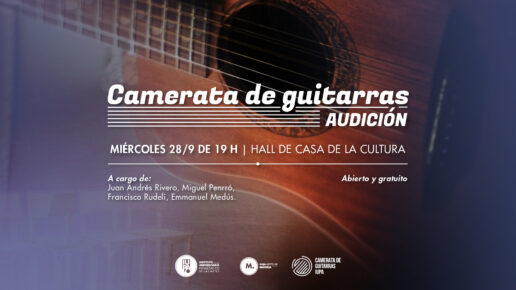 camerata de guitarras