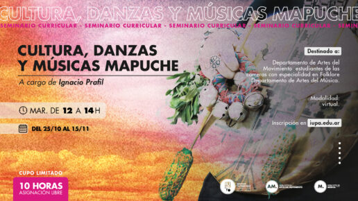 seminario cultura mapuche