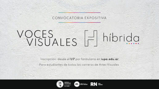 Voces visuales convocatoria